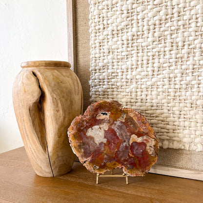 Luxury Madagascar petrified wood slab display specimen in warm earth tones