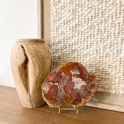 Red and amber Madagascar petrified wood slab showcased as home decor accent