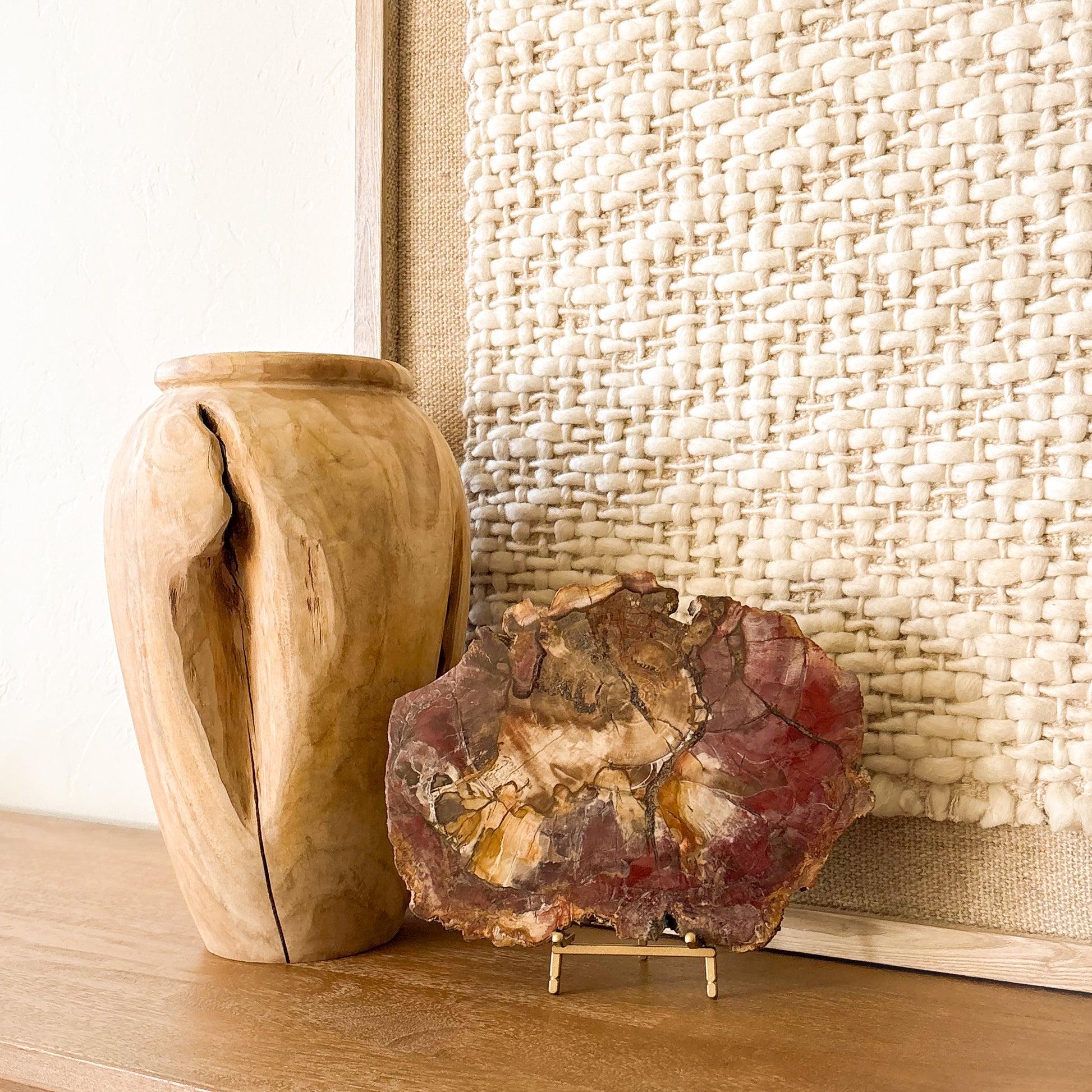 Luxury Madagascar petrified wood slab display specimen in warm earth tones