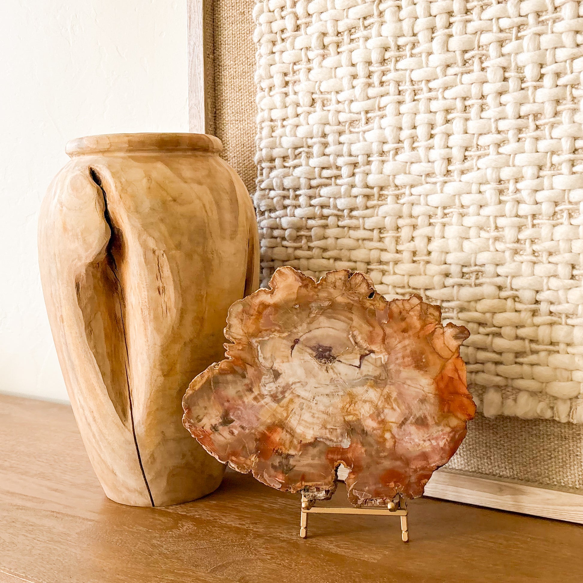 Madagascar petrified wood slab with polished surface and detailed fossil grain structure