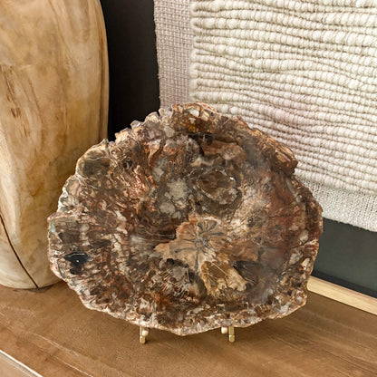 Madagascar petrified wood slice styled on console table with organic textures and warm natural decor accents