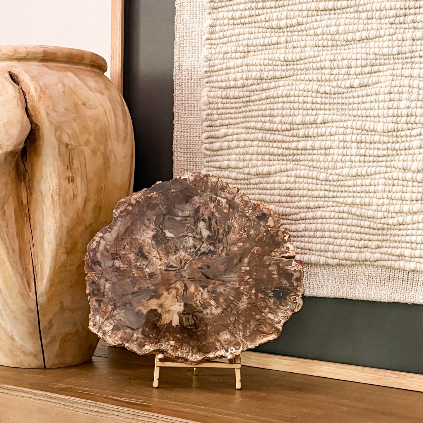 Madagascar Petrified Wood Slab