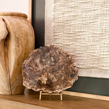 Madagascar Petrified Wood Slab