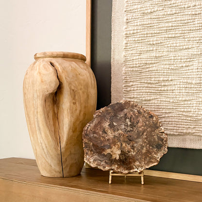 Madagascar petrified wood slab displayed as natural luxury home decor with rich brown fossil patterns