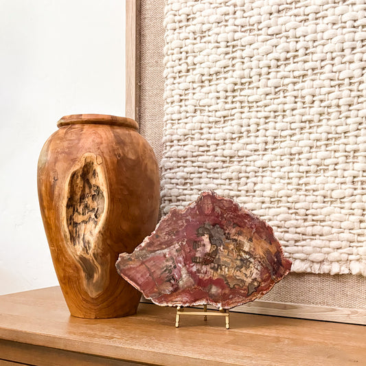 Natural Madagascar petrified wood slab displayed as collectible luxury home décor