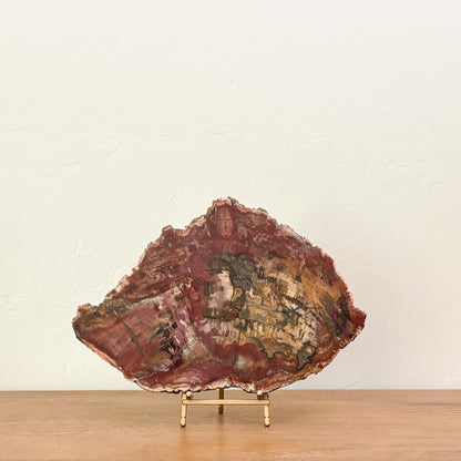 Luxury fossil wood décor handcrafted by nature with polished surfaces and unique organic patterns