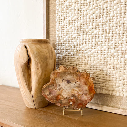 Colorful Madagascar petrified wood slab featuring preserved tree rings and mineralization