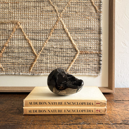 madagascar septarian egg