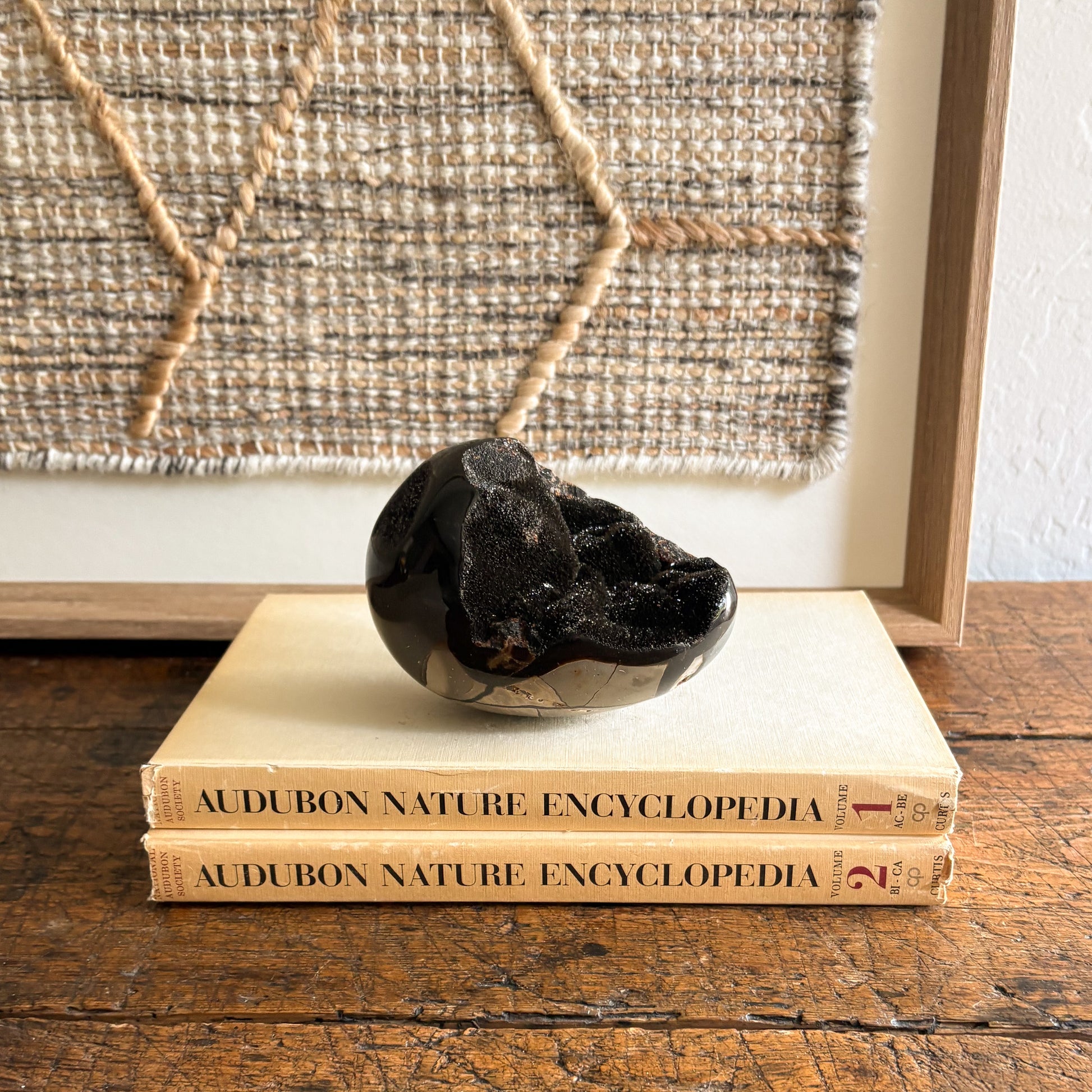 Decorative septarian druzy rock on top of two 'Audubon Nature Encyclopedia' books with a textured wall in the background.
