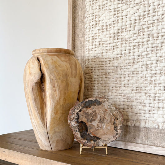 Madagascar petrified wood slab used as a natural stone décor accent in modern interior space
