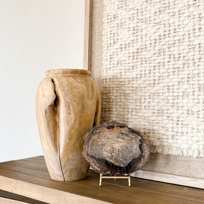 Madagascar petrified wood slab used as a natural stone décor accent in modern interior space