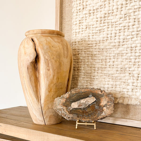 Madagascar petrified wood slab used as a natural stone décor accent in modern interior space