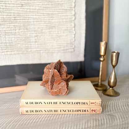 neutral organic home decor