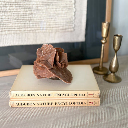 desert rose rock selenite