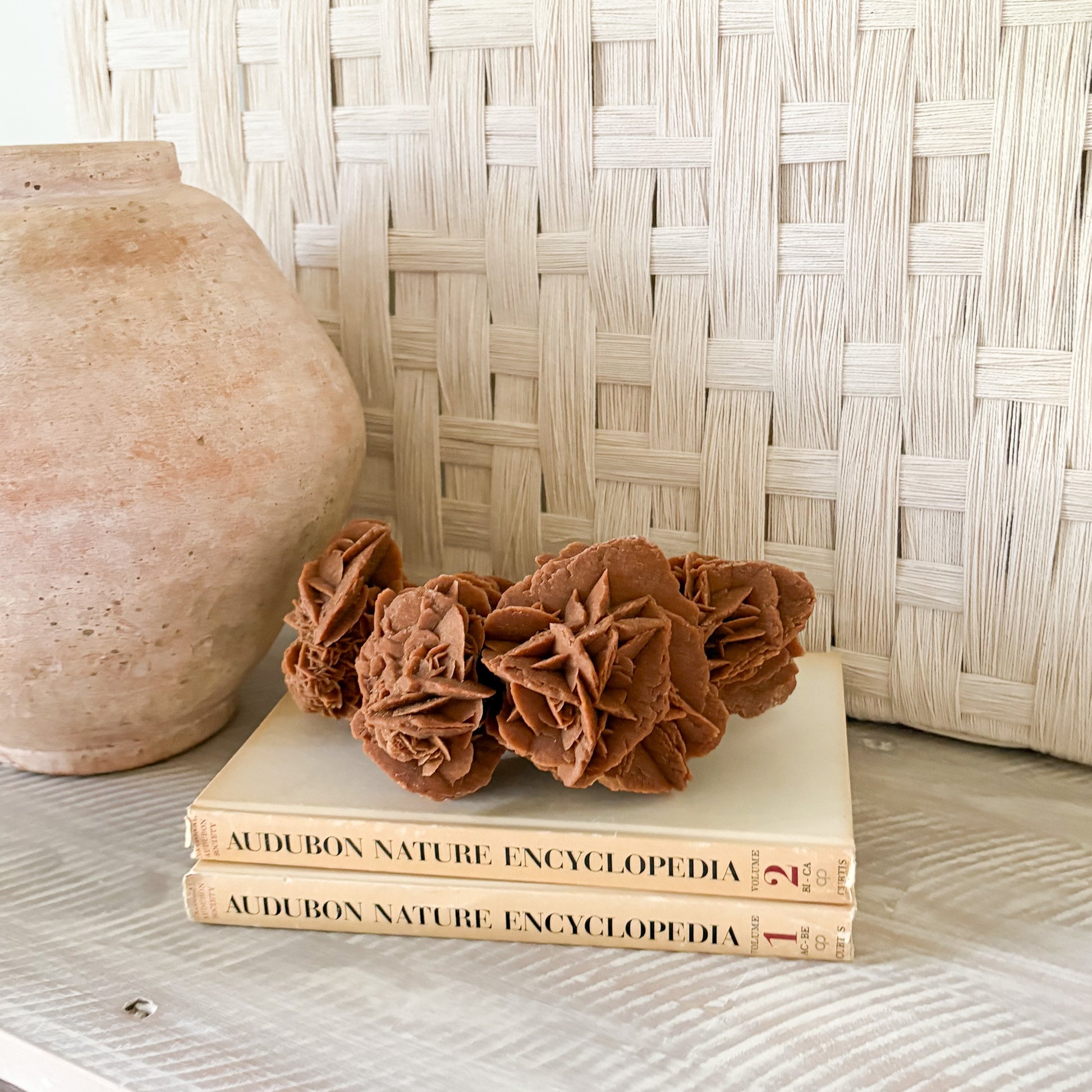 modern organic home decor
