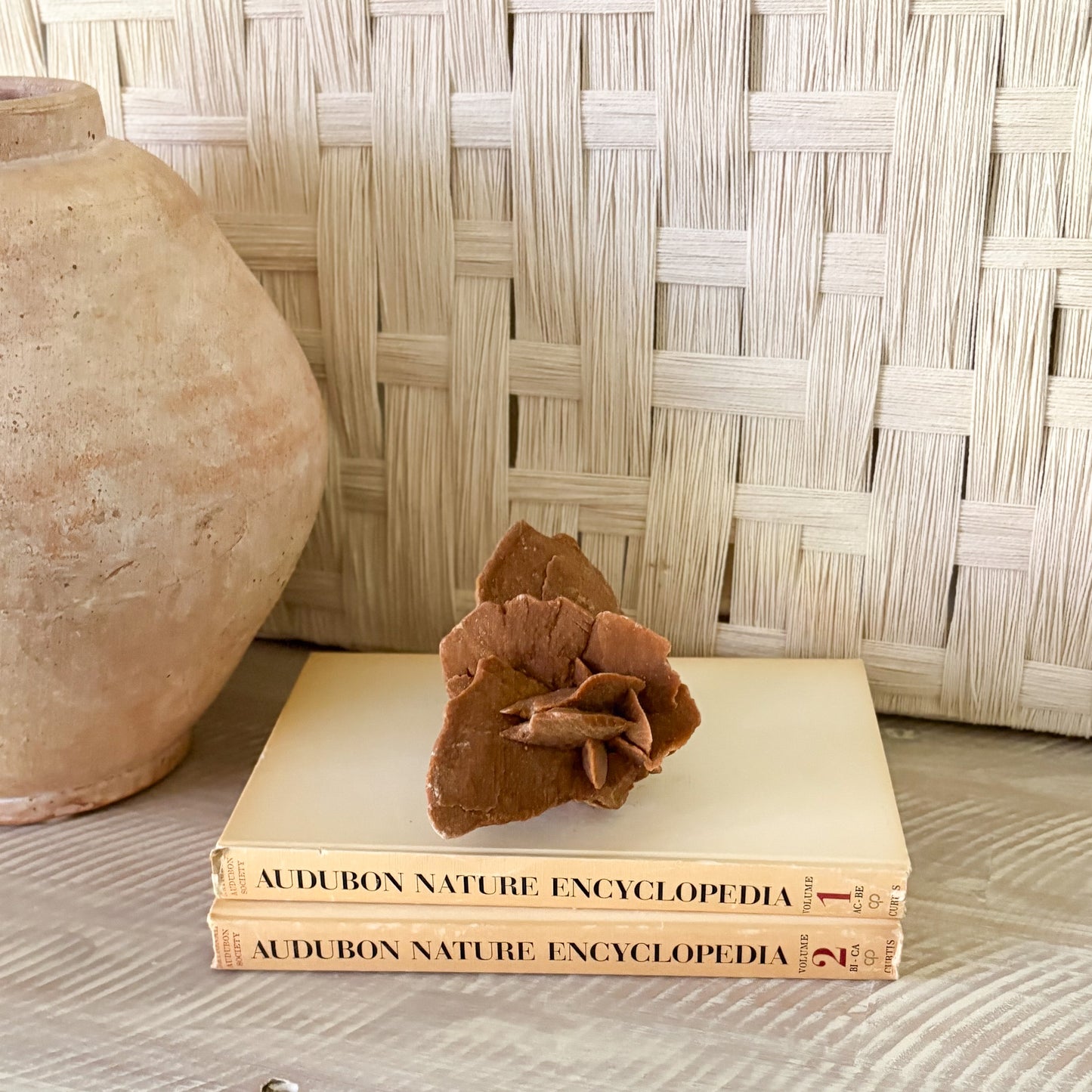 modern organic home accents