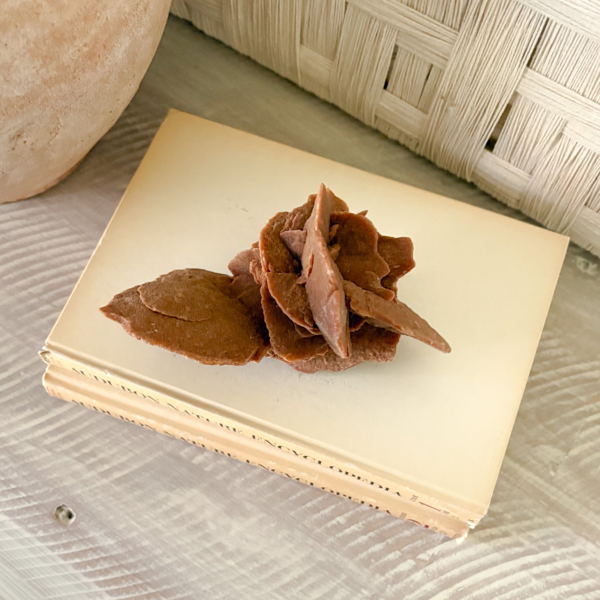 modern organic home accents