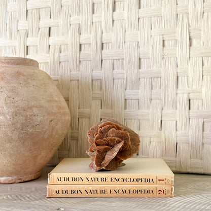 modern rustic home decor