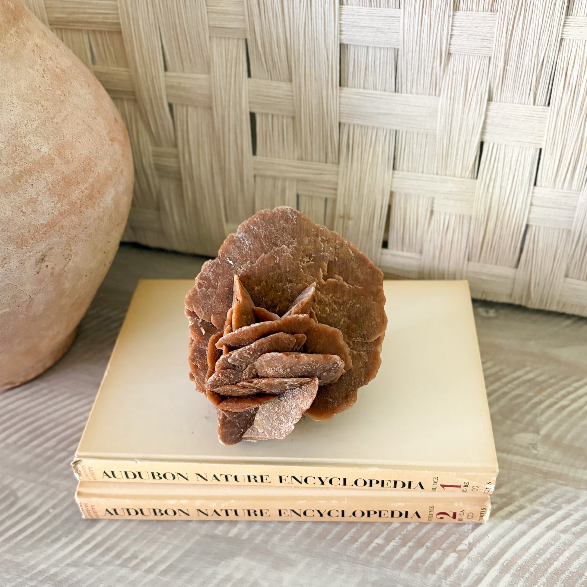 Stack of Audubon Nature Encyclopedia books with a decorative morrocan rose rock stone on top, against a woven basket background.