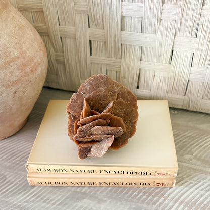 Stack of Audubon Nature Encyclopedia books with a decorative morrocan rose rock stone on top, against a woven basket background.