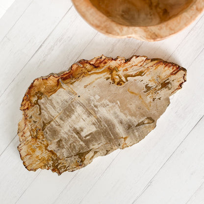 neutral home accents