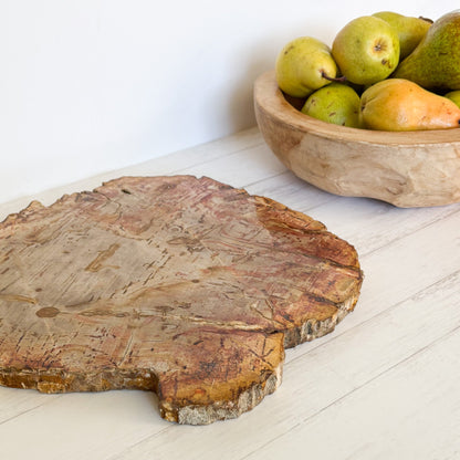petrified wood serving tray
