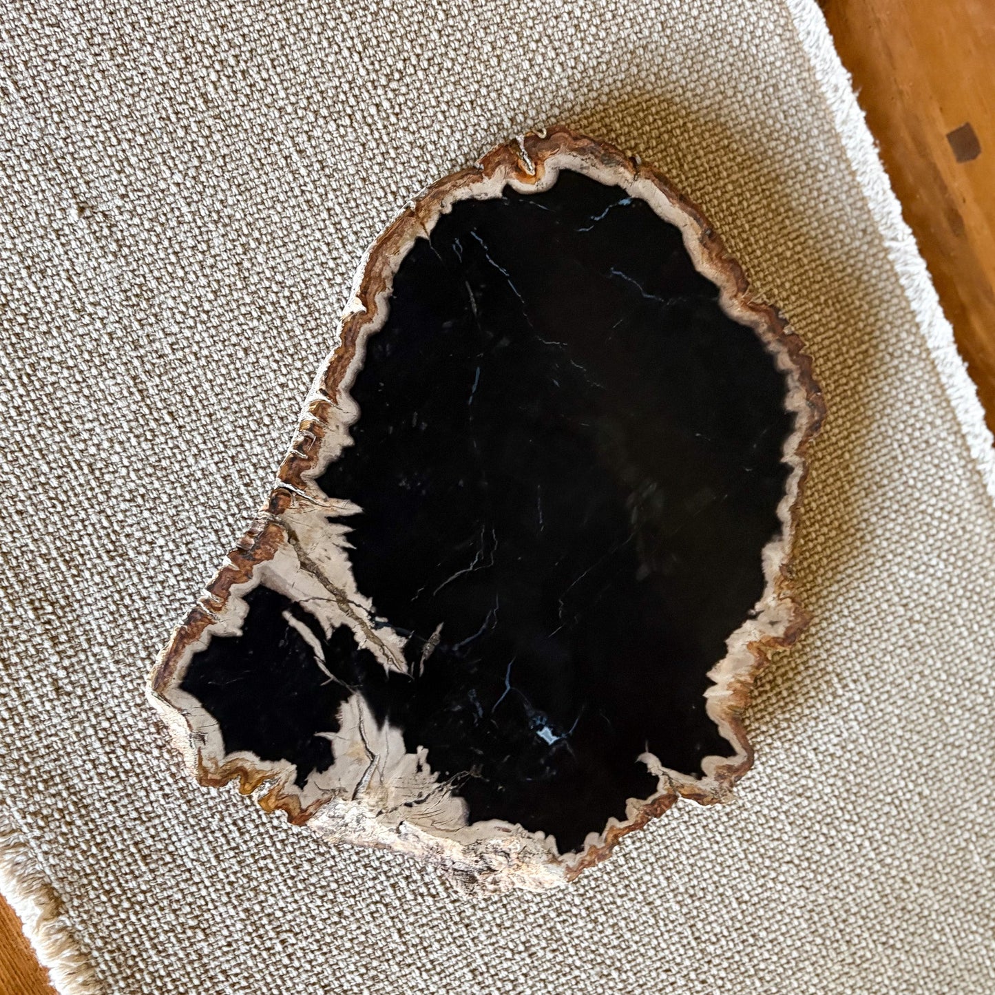 indonesian petrified wood accent tray