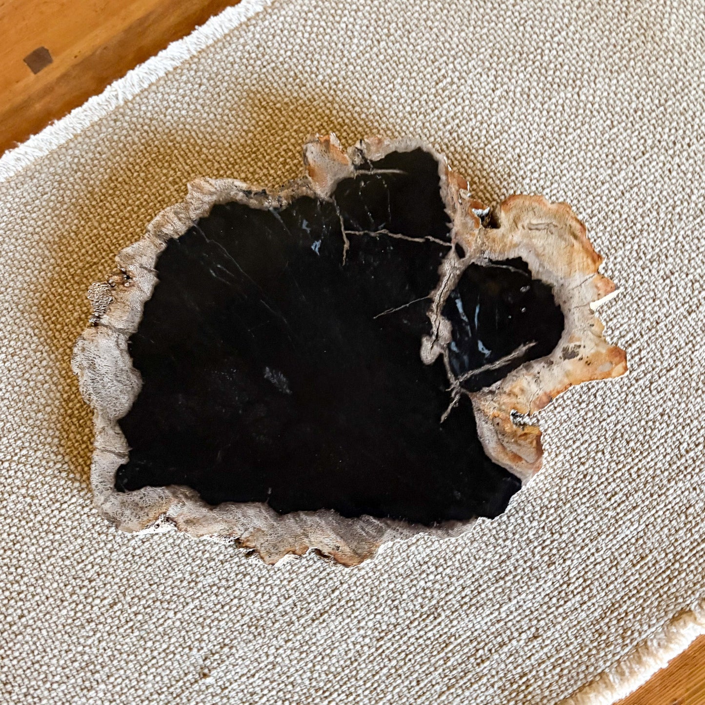 Natural Edge Petrified Wood Serving Board