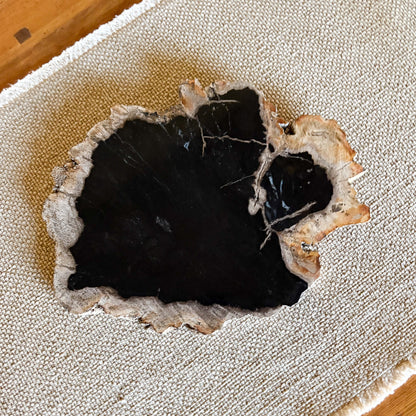 Natural Edge Petrified Wood Serving Board