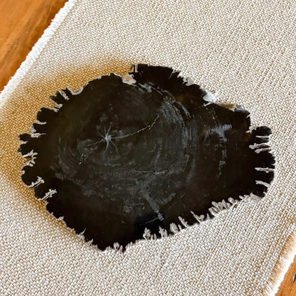 petrified wood accent tray