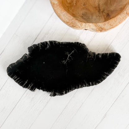 black petrified wood cheese board