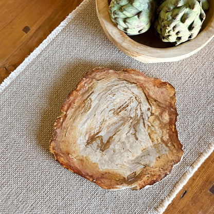 petrified wood cheese board
