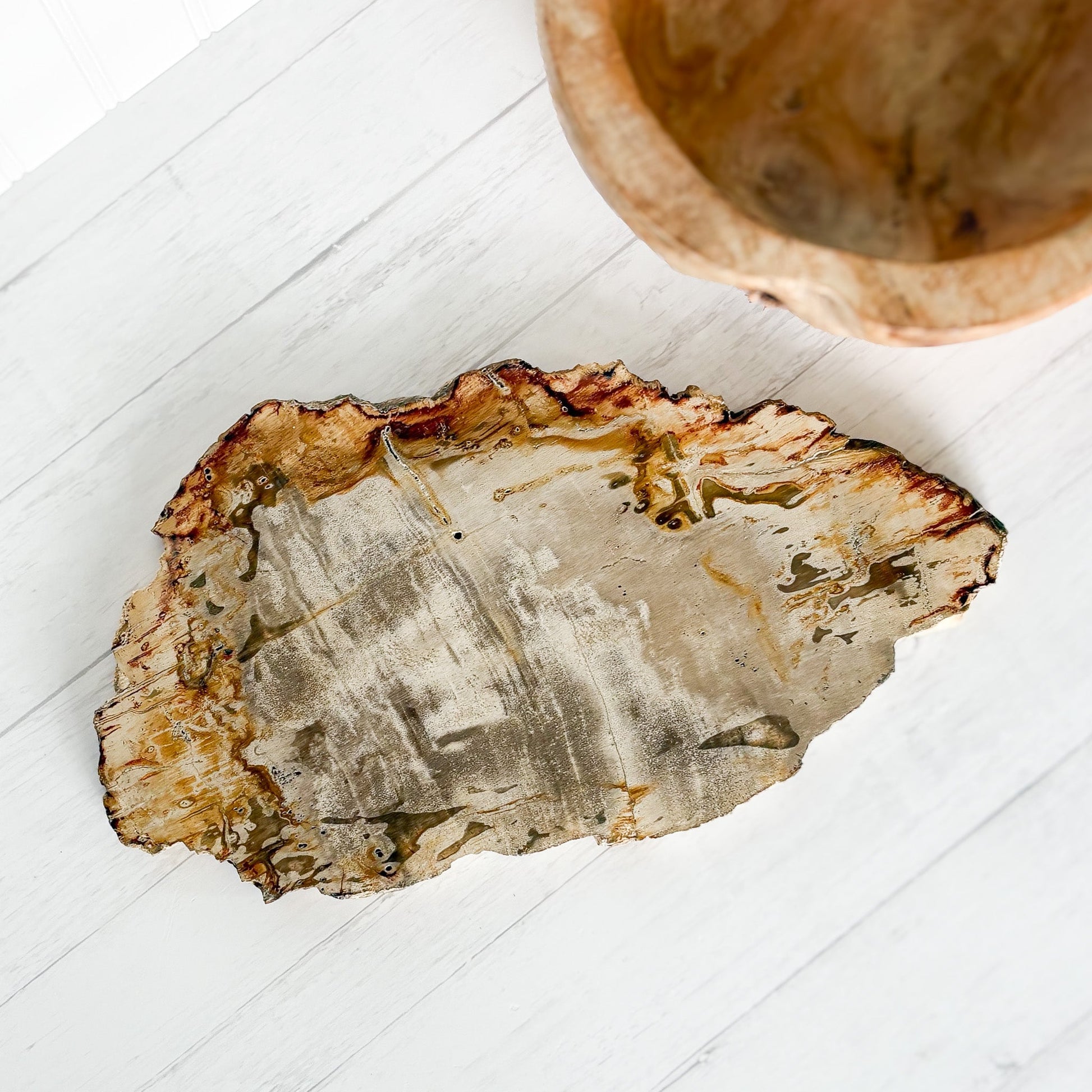 petrified wood cheese board
