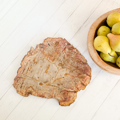 petrified wood home accents