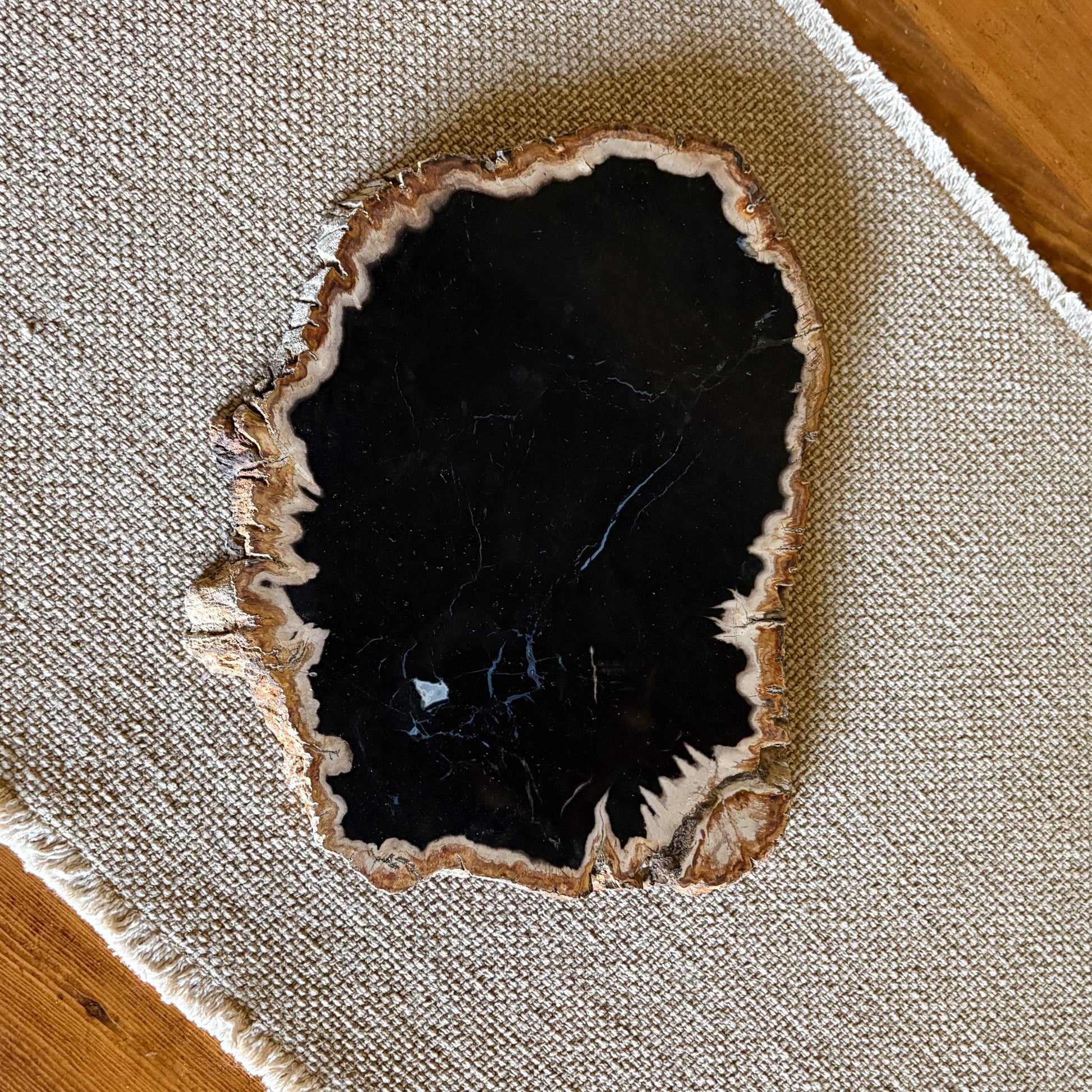 petrified wood home accents