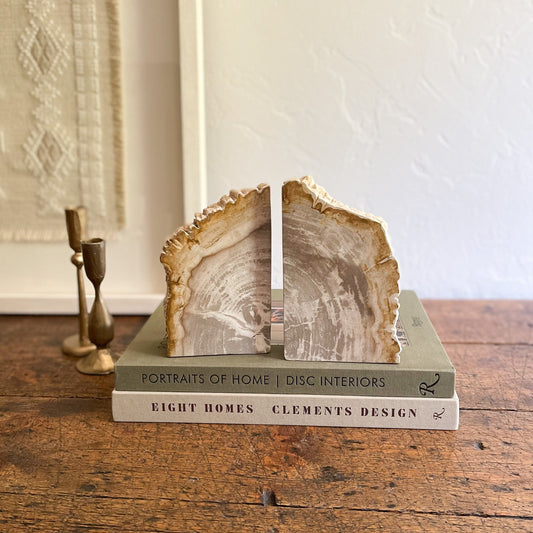 indonesian petrified wood bookend pair