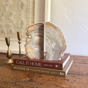 organic home decor, fossilized wood bookend pair