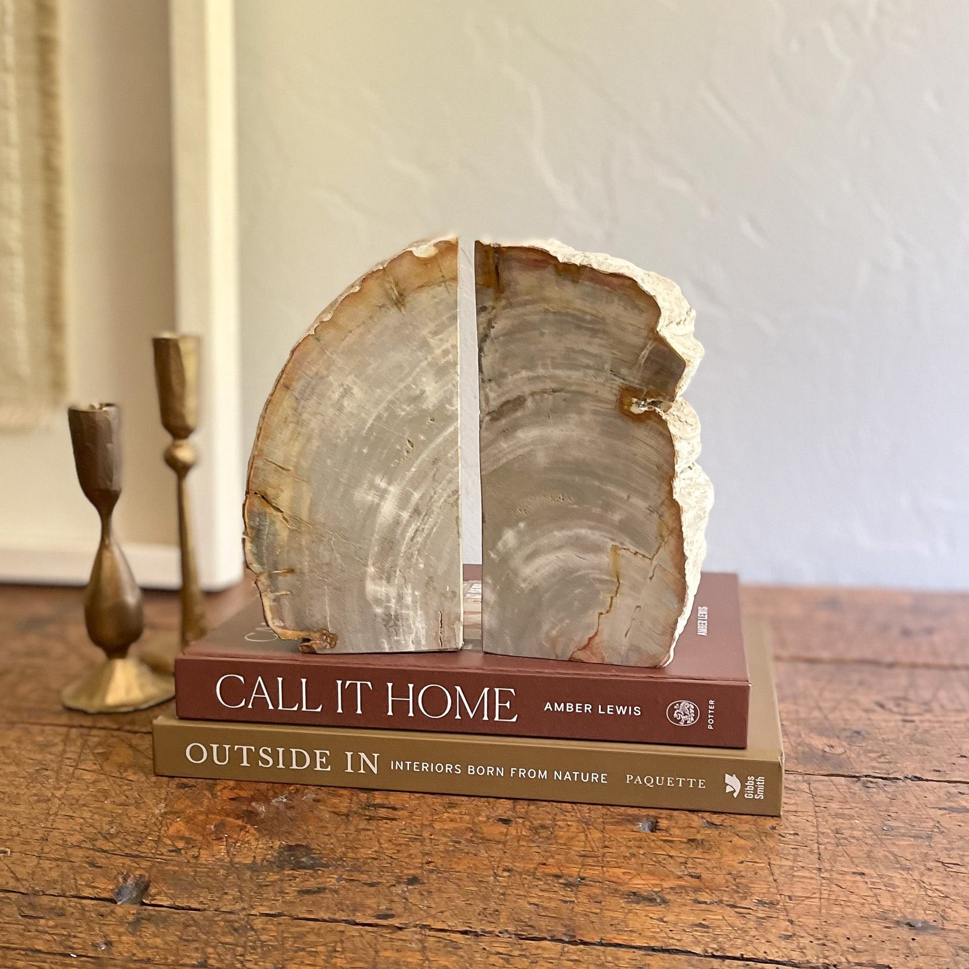 petrified wood decor, natural office decor