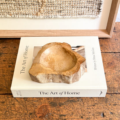 petrified wood home decor