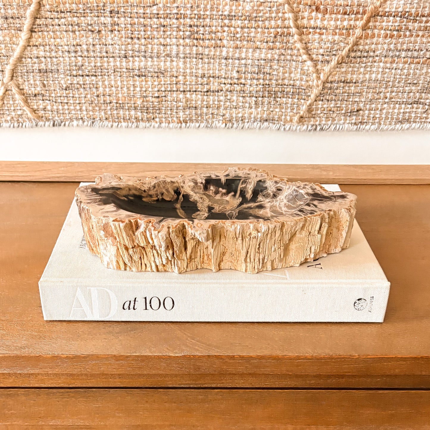 Small Indonesian petrified wood bowl, fossilized wood decorative dish with natural stone grain and organic edge detail.