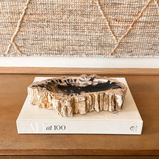 Small Indonesian petrified wood bowl with natural fossilized wood grain and raw edges, decorative stone dish styled on a coffee table book.