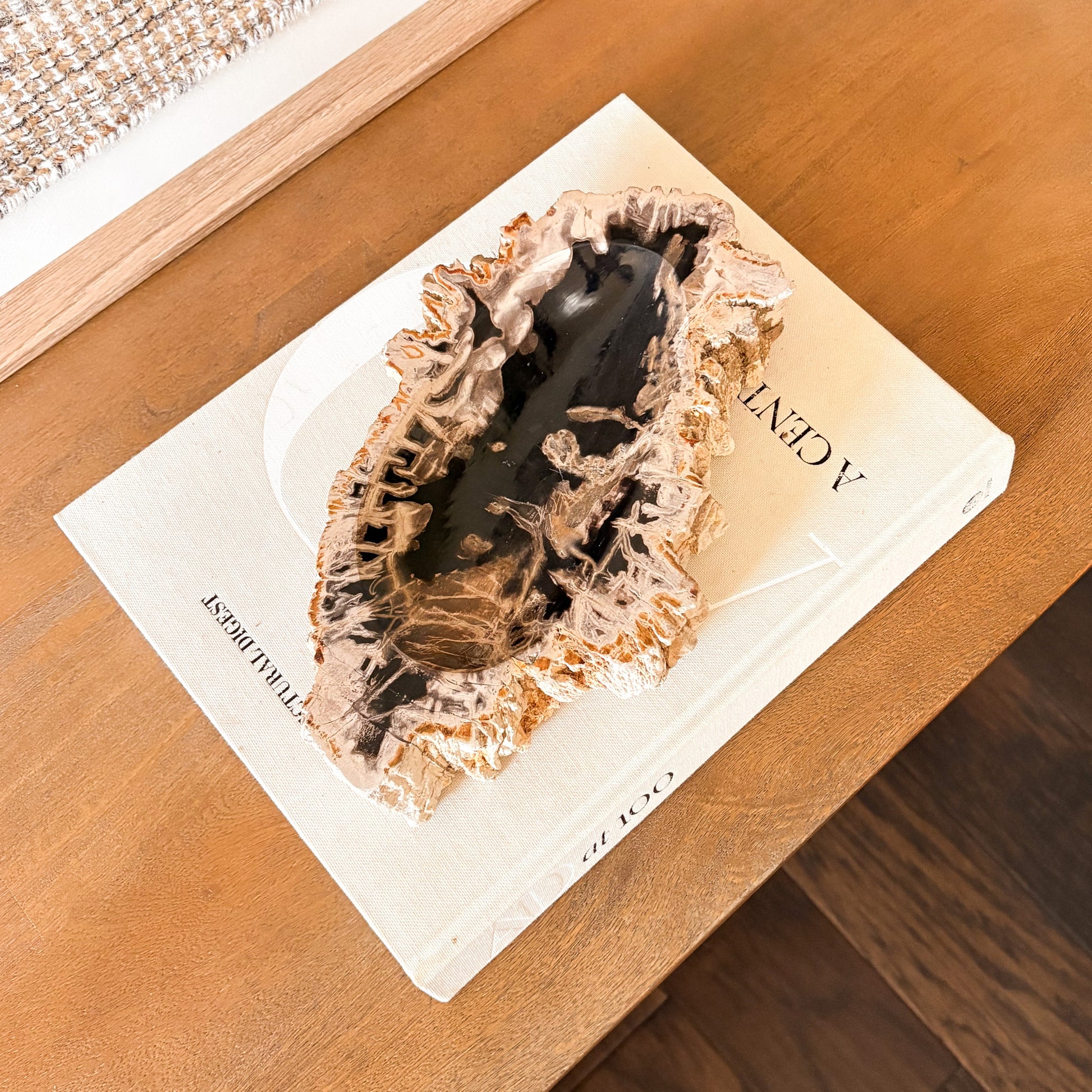 Small petrified wood bowl from Indonesia with natural fossil wood grain and organic edges.
