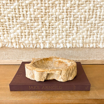 Small Indonesian petrified wood bowl with natural raw edge and warm beige fossil wood grain displayed on a coffee table book