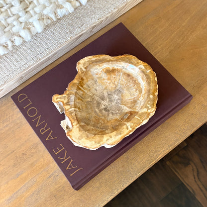 Top view of small Indonesian petrified wood bowl showing fossilized wood rings and natural mineral patterns