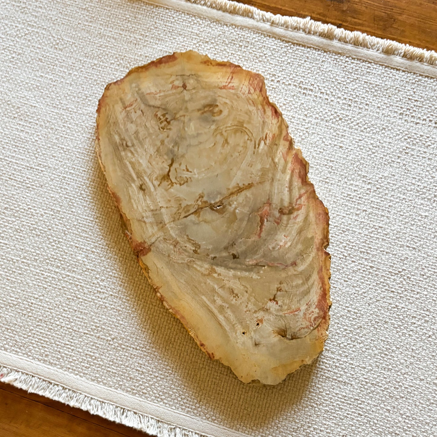 petrified wood serving tray
