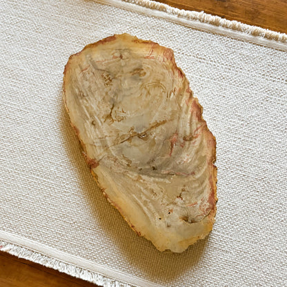 petrified wood serving tray