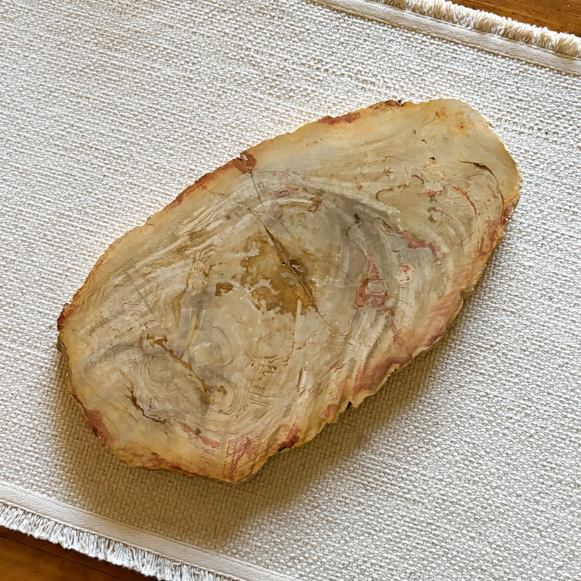 petrified wood cheese board