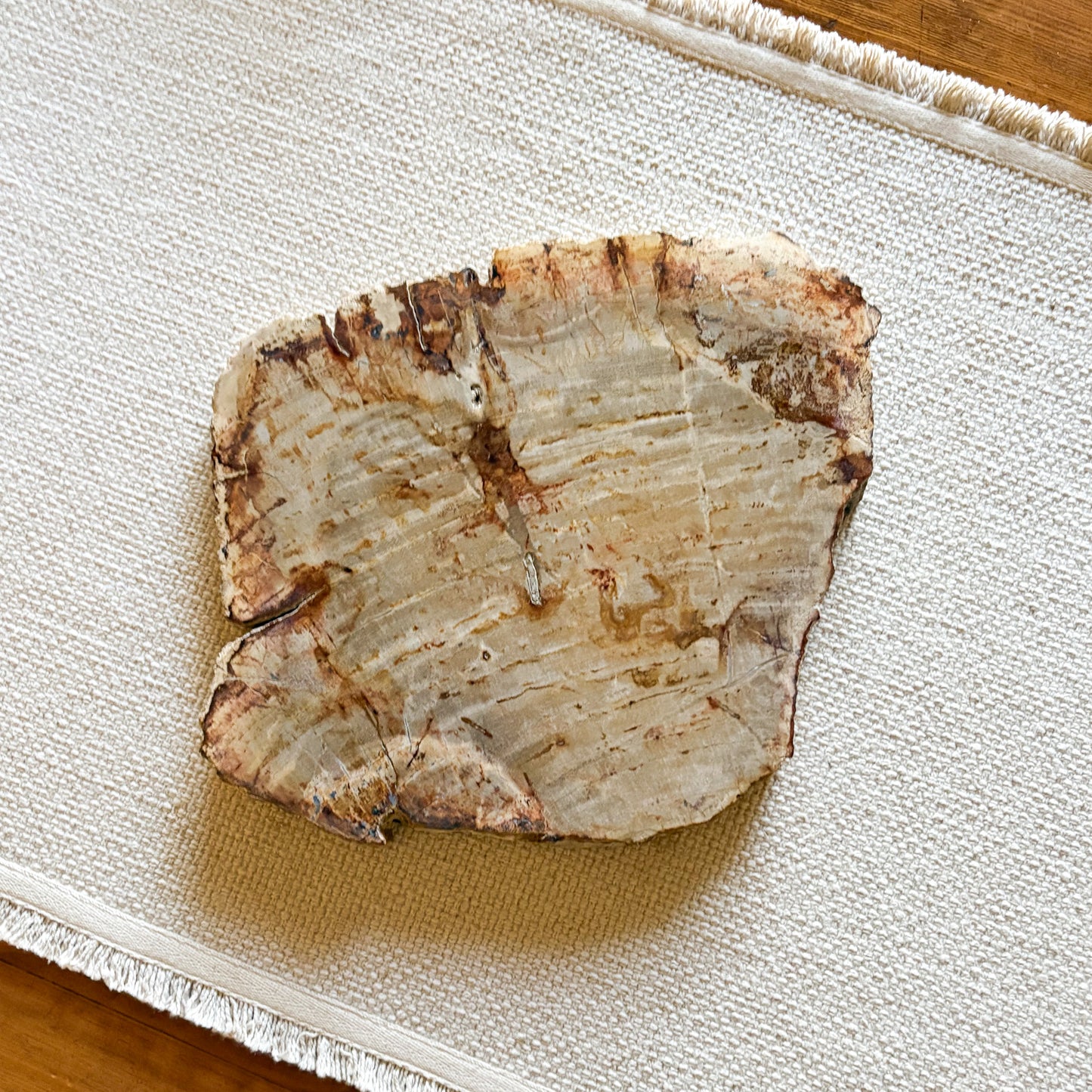 petrified wood cheese board