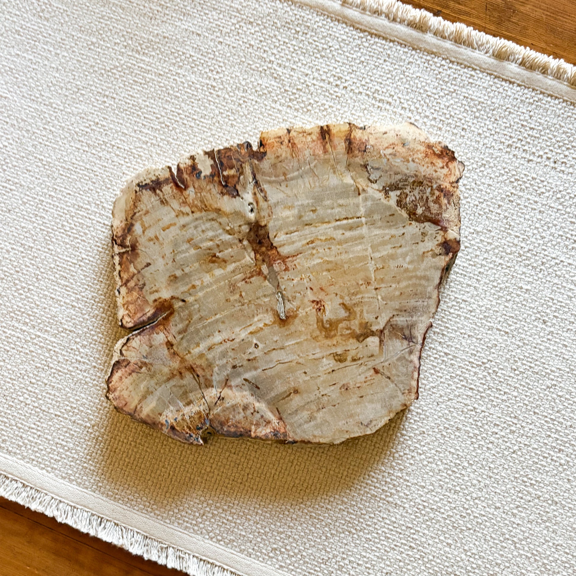 petrified wood cheese board