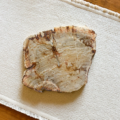 petrified wood cheese board